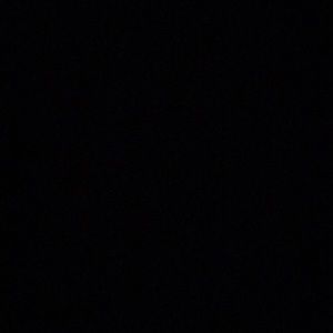 Meet your Posher, Timmy